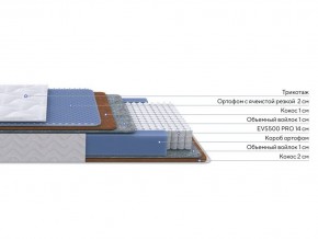 PROxSON Матрас Active Duo M/F (Ткань Трикотаж Эко) 160x190 в Перми - perm.mebel24.online | фото 2