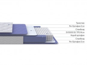 PROxSON Матрас Active F (Ткань Трикотаж Эко) 160x190 в Перми - perm.mebel24.online | фото 2