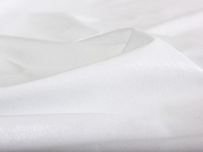 PROxSON Защитный чехол Aqua Save Fiber M (Микрофибра) 120x195 в Перми - perm.mebel24.online | фото 6