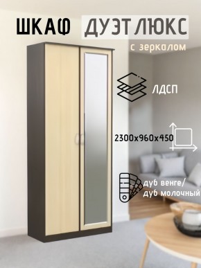 Шкаф 2-х створчатый Дуэт Люкс с зеркалом в Перми - perm.mebel24.online | фото