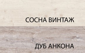 Шкаф 2DG2S, MONAKO, цвет Сосна винтаж/дуб анкона в Перми - perm.mebel24.online | фото