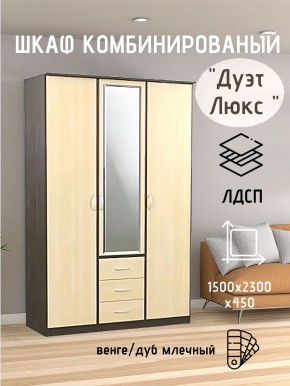Шкаф комбинированный Дуэт Люкс с зеркалом в Перми - perm.mebel24.online | фото 3