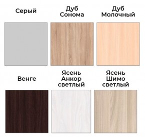 Шкаф-купе ХИТ 22-4-14-11 (420) в Перми - perm.mebel24.online | фото 5