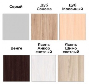 Шкаф-купе ХИТ 22-4-17-55 (420) в Перми - perm.mebel24.online | фото 3
