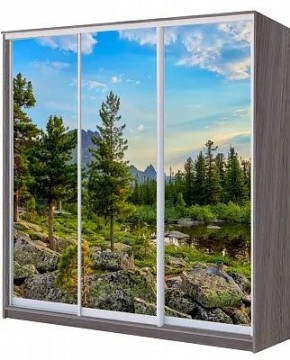 Шкаф-купе ХИТ 22-4-20/2-777 ПРИРОДА в Перми - perm.mebel24.online | фото