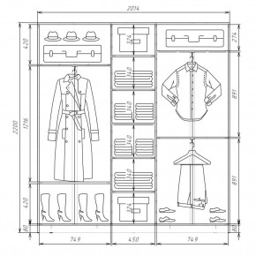 Шкаф-купе ХИТ 22-4-20-555 (420) в Перми - perm.mebel24.online | фото 2