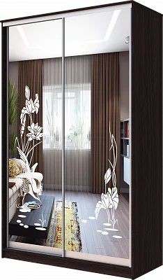 Шкаф-купе ХИТ 23-4-12/2-66 ЦАПЛИ в Перми - perm.mebel24.online | фото