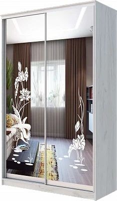Шкаф-купе ХИТ 24-14-66 ЦАПЛИ в Перми - perm.mebel24.online | фото