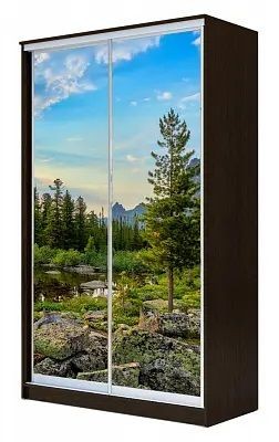 Шкаф-купе ХИТ 24-15-77 ПРИРОДА в Перми - perm.mebel24.online | фото