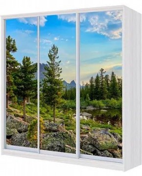 Шкаф-купе ХИТ 24-20-777 ПРИРОДА в Перми - perm.mebel24.online | фото