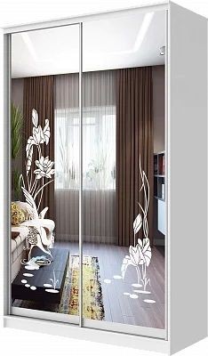 Шкаф-купе ХИТ 24-4-12-66 ЦАПЛИ в Перми - perm.mebel24.online | фото