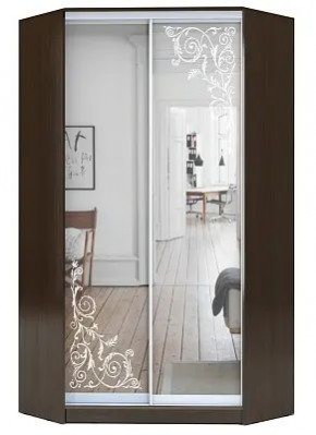 Шкаф-купе ХИТ-У-23-4-66 ОРНАМЕНТ в Перми - perm.mebel24.online | фото