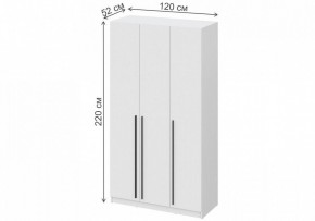 Шкаф платяной Бирма ШК-1200 в Перми - perm.mebel24.online | фото 4