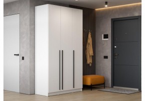 Шкаф платяной Бирма ШК-1200 в Перми - perm.mebel24.online | фото 5