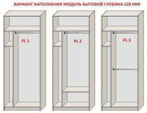 Шкаф распашной серия «ЗЕВС» (PL3/С1/PL2) Серый камень/Небраска натуральный в Перми - perm.mebel24.online | фото 5