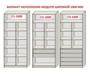 Шкаф распашной серия «ЗЕВС» (PL3/С1/PL2) Серый камень/Небраска натуральный в Перми - perm.mebel24.online | фото 7