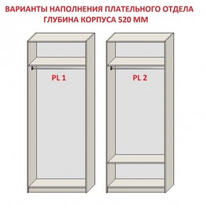 Шкаф распашной серия «ЗЕВС» (PL3/С1/PL2) Серый камень/Небраска натуральный в Перми - perm.mebel24.online | фото 9