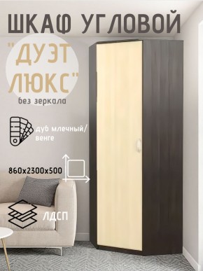 Шкаф угловой Дуэт Люкс без зеркала в Перми - perm.mebel24.online | фото 3