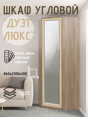Шкаф угловой Дуэт Люкс с зеркалом в Перми - perm.mebel24.online | фото 3