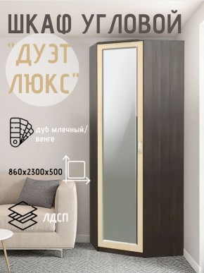 Шкаф угловой Дуэт Люкс с зеркалом в Перми - perm.mebel24.online | фото 5