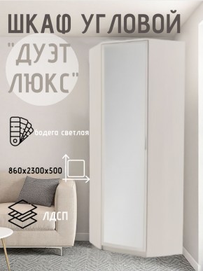 Шкаф угловой Дуэт Люкс с зеркалом в Перми - perm.mebel24.online | фото 6