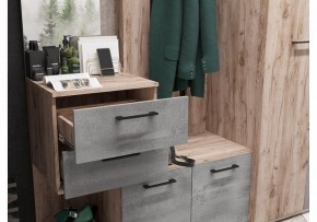 Стенка для прихожей Бостон в Перми - perm.mebel24.online | фото 4
