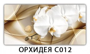Стол раздвижной Трилогия с фотопечатью Лайм R156 в Перми - perm.mebel24.online | фото 13