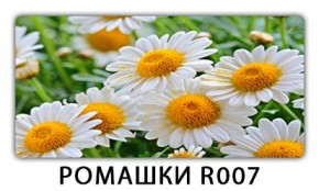 Стол раздвижной Трилогия с фотопечатью Лайм R156 в Перми - perm.mebel24.online | фото 15