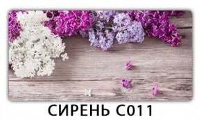 Стол раздвижной Трилогия с фотопечатью Лайм R156 в Перми - perm.mebel24.online | фото 16