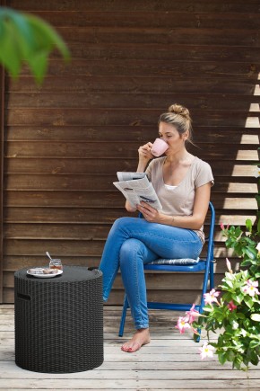 Столик-холодильник Кул-Стул (Cool stool) коричневый в Перми - perm.mebel24.online | фото 2