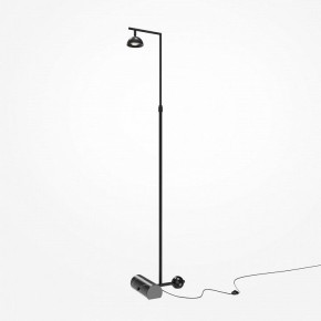Торшер Maytoni Pikant MOD372FL-L10B3K в Перми - perm.mebel24.online | фото 2