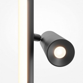 Торшер Maytoni Thin MOD395FL-L28B3K в Перми - perm.mebel24.online | фото 6