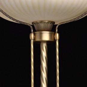 Торшер MW-Light Афродита 1 317040901 в Перми - perm.mebel24.online | фото 6