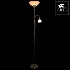 Торшер с подсветкой Arte Lamp Duetto A9569PN-2AB в Перми - perm.mebel24.online | фото 3