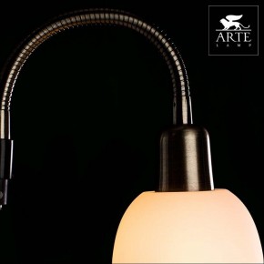 Торшер с подсветкой Arte Lamp Duetto A9569PN-2AB в Перми - perm.mebel24.online | фото 4