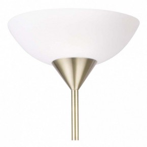 Торшер с подсветкой Arte Lamp Duetto A9569PN-2AB в Перми - perm.mebel24.online | фото 5