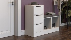 Тумба для обуви Тип 14 в Перми - perm.mebel24.online | фото 5