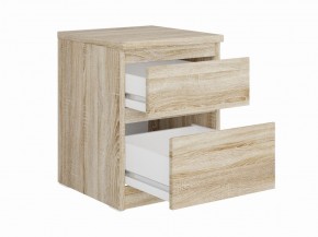 Тумба КАСТОР малая с двумя ящиками, цвет Дуб Сонома в Перми - perm.mebel24.online | фото 2